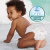 Pampers Harmonie Baby Pelenka - havi pelenkacsomag, Méret: 3, 186 db Pelenka, 6kg-10kg termékhez kapcsolódó kép